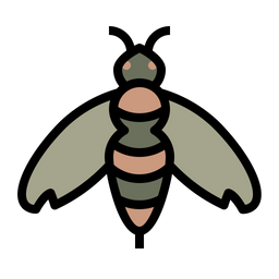 Bee  Icon