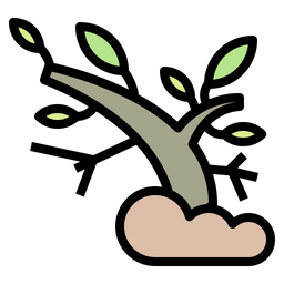 Branch  Icon