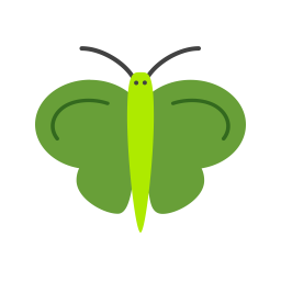 Butterfly  Icon