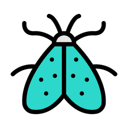 Butterfly  Icon