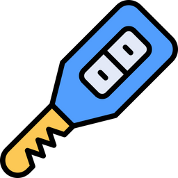 Car Key  Icon