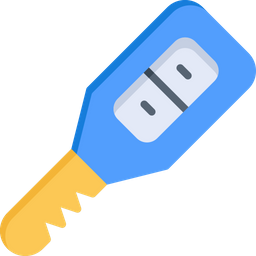 Car Key  Icon