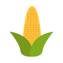 Corn  Icon