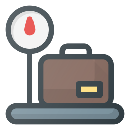 Bag  Icon