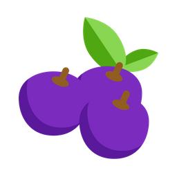 Berry  Icon