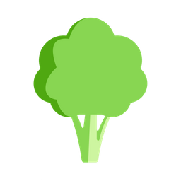 Broccoli  Icon