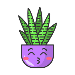 Zebra cactus  Icon