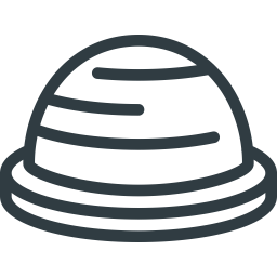 Bosu  Icon