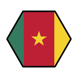 Cameroon  Icon