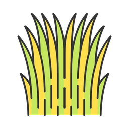 Mexican Thread Grass  Icon