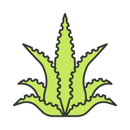 Aloe Vera  Icon