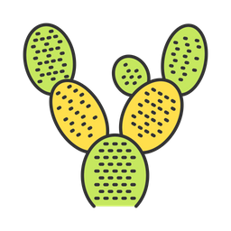 Bunny Ears Cactus  Icon