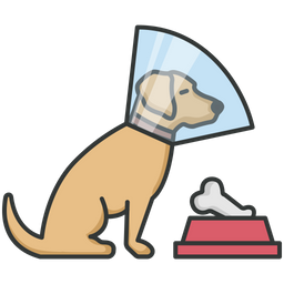 Dog Cone  Icon