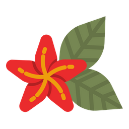 Hawaii Flower  Icon