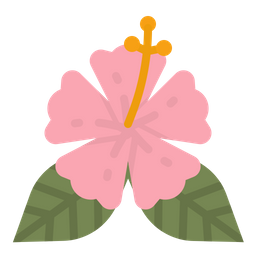 Hibiscus  Icon