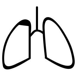 Anatomie  Symbol