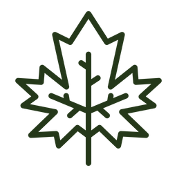 Leaf  Icon