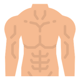 Body  Icon