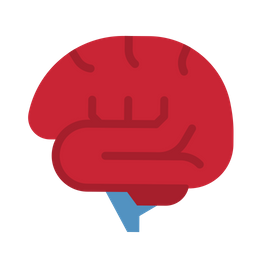 Brain  Icon