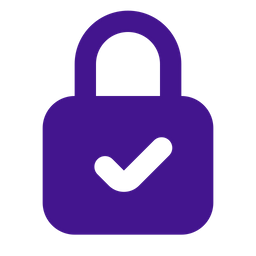 Check Security  Icon