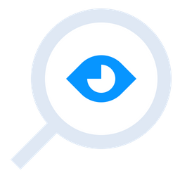 Audit  Icon