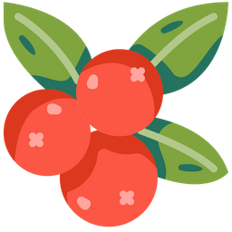 Berries  Icon