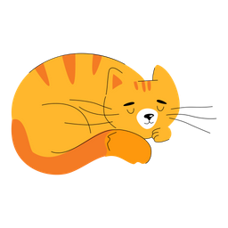 Cat Sleep  Icon