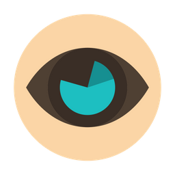 Business Eye  Icon