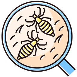 Pediculosis  Icon