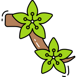 Kirschblüte  Symbol