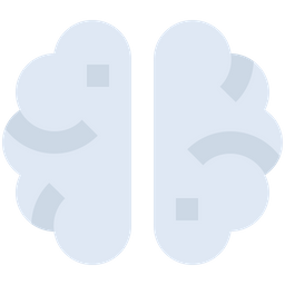 Brain  Icon