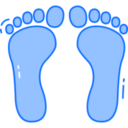 Foot Print  Icon