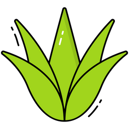 Agave  Icon