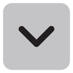 Chevron down  Icon