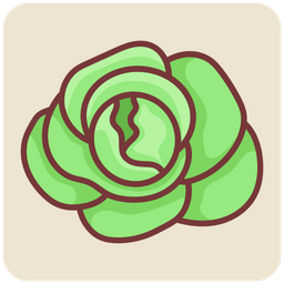 Cabbage  Icon