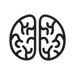 Brain  Icon