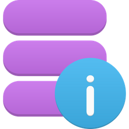 Data Info  Icon