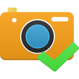 Camera accept  Icon