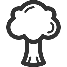 Broccoli  Icon