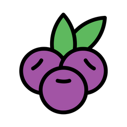 Acai  Icon