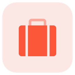 Baggage  Icon