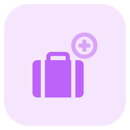 Add Baggage  Icon