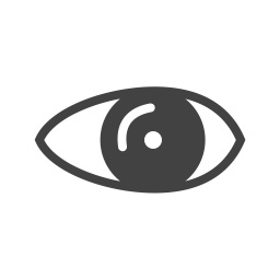 Eye  Icon