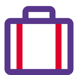 Baggage  Icon