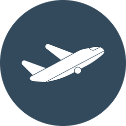 Airplane  Icon