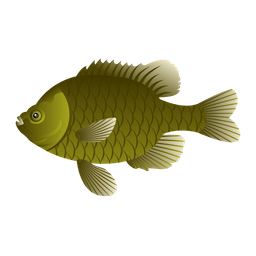 Bluegill  Ícone