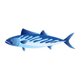 Bonito Fish  Icon