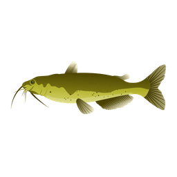 Channel Catfish  Icon