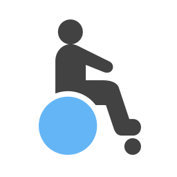 Disabled  Icon