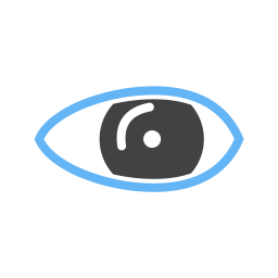 Eye  Icon